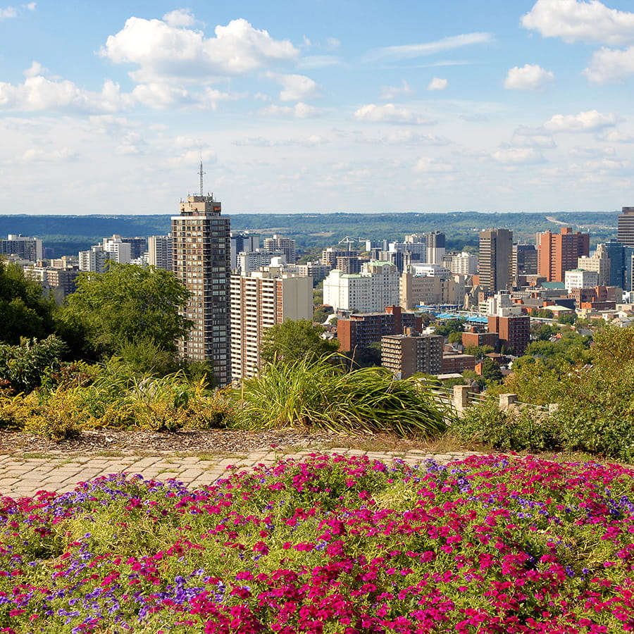 Scarborough Real Estate - Andrew Pisani, Real Estate Broker