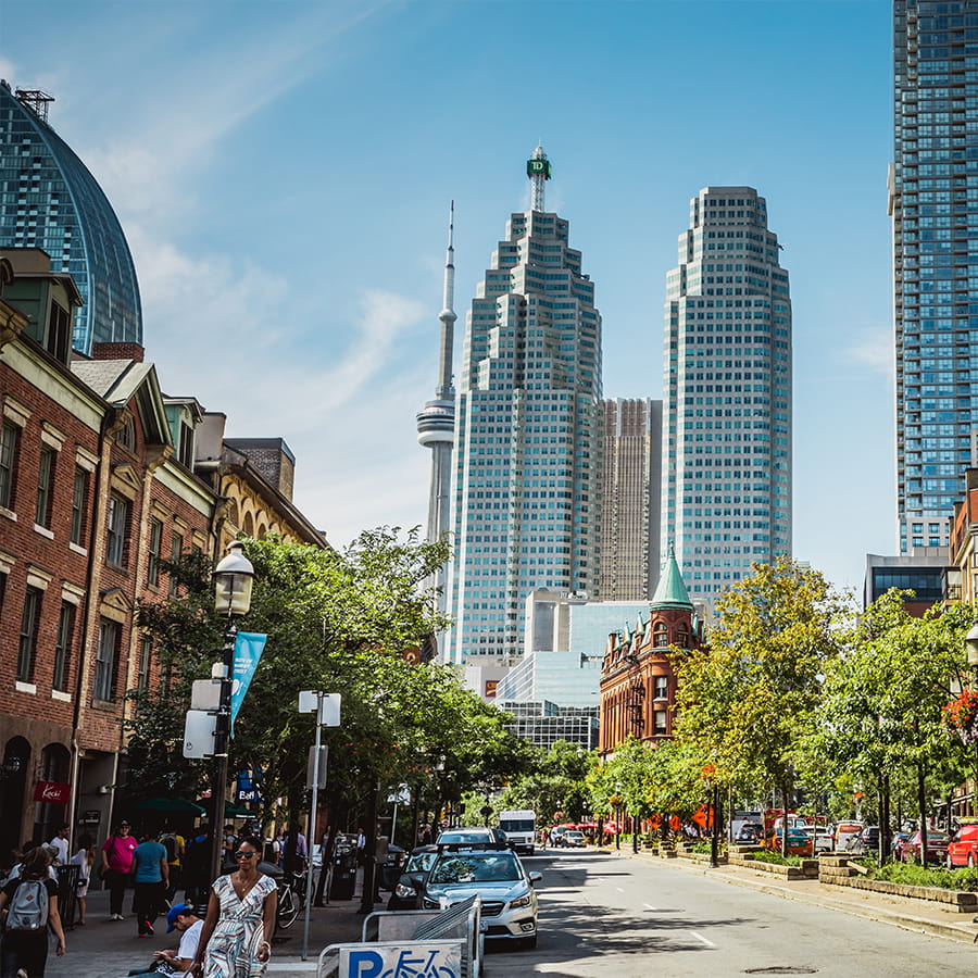 Toronto Real Estate - Andrew Pisani, Real Estate Broker